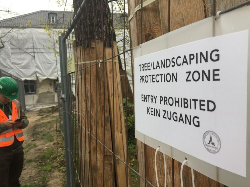 Schild "TREE/LANDSCAPING PROTECTION ZONE, ENTRY PROHIBITED, KEIN ZUGANG" an einem Bauzaun; Arbeiter schaut auf Handy.