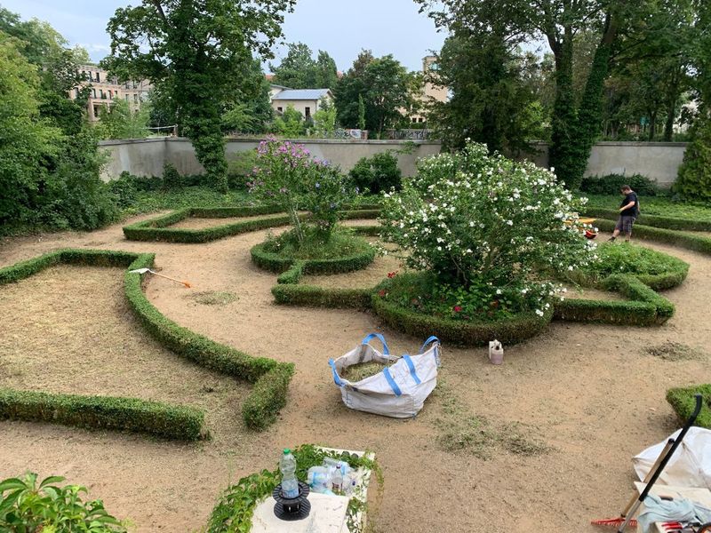 Gärtner mäht Rasen in einem formalen Garten mit Buchsbaumhecken und Kieswegen.