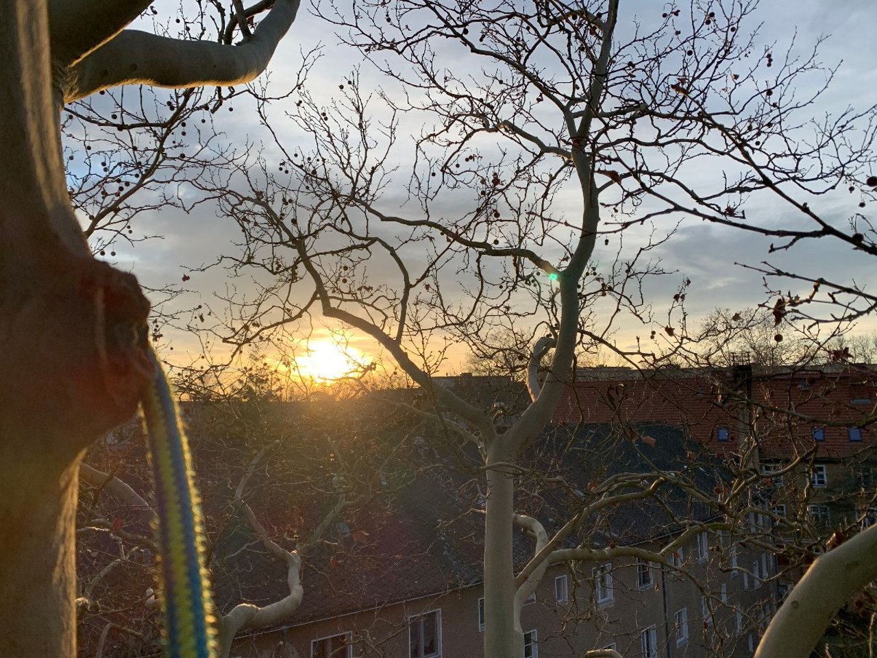 Sonnenuntergang hinter kahlen Bäumen, die Äste bilden eine Silhouette vor einem orangefarbenen Himmel.
