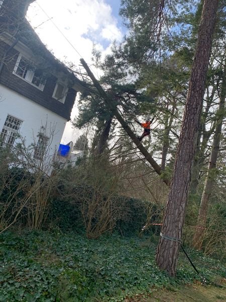 Ein Baumpfleger in orangefarbener Kleidung balanciert auf einem gefällten Baumstamm neben einem Haus.