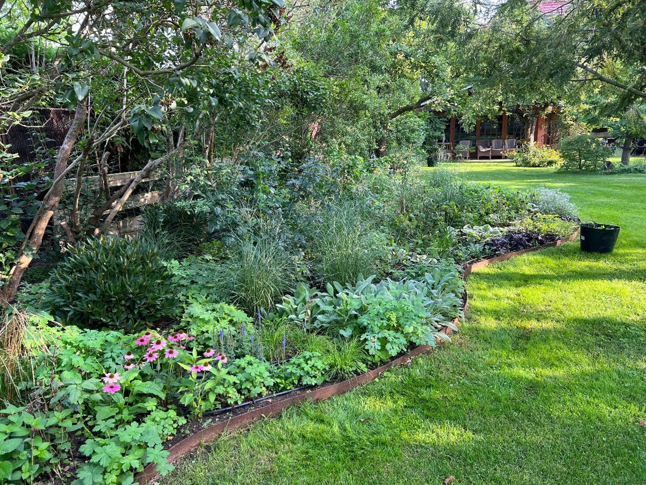 Ein üppiges Blumenbeet mit grünen Pflanzen und einigen rosa Blüten, umgeben von Rasen.